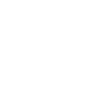 Shellharbour Health Logo